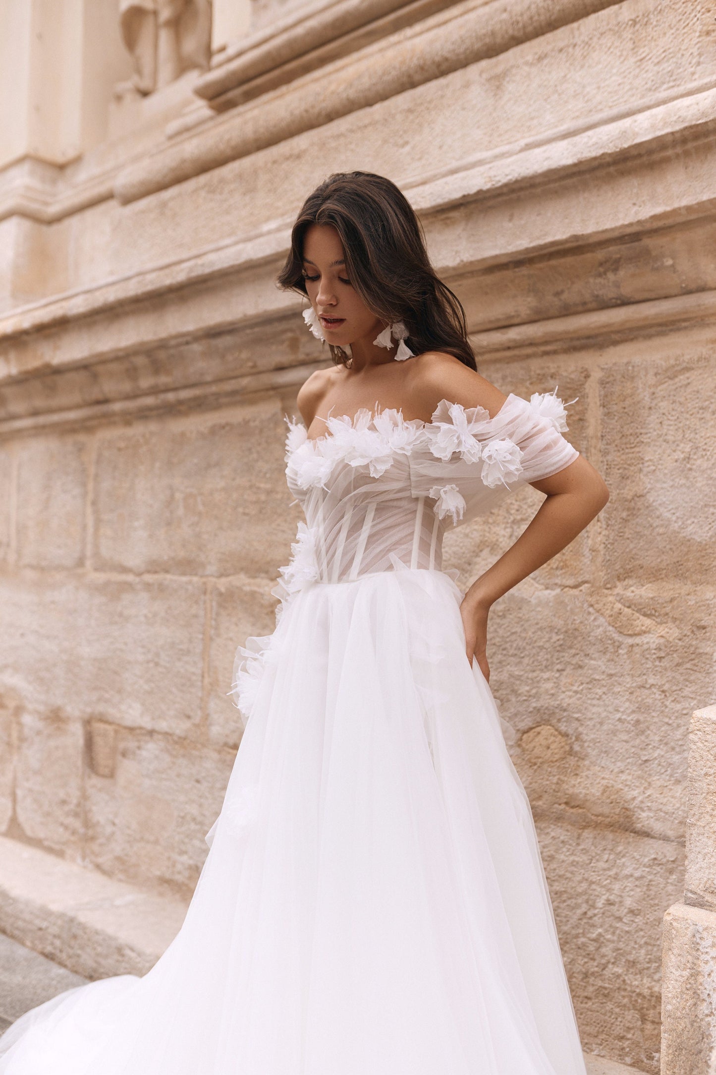 A-line Luxurious Floral Wedding Dress, Off-Shoulder Sleeves, Floral Appliques Corset Tulle Bridal Gown, Romantic Bridal Gown, Beach Wedding